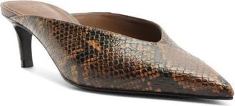 Schutz Loren Mule in Pecan Brown at Nordstrom, Size 10.5