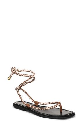 Veronica Beard Carmina Ankle Wrap Sandal in Hazelwood/Ecru at Nordstrom, Size 11
