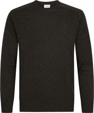 Profuomo Zachte Wol Ronde Hals Trui - Heren - Ronde hals truien - Bruin - S - Wol - Truien & Vesten