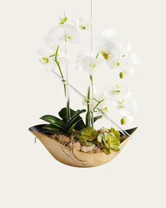 John-Richard Cambridge Orchid Arrangement