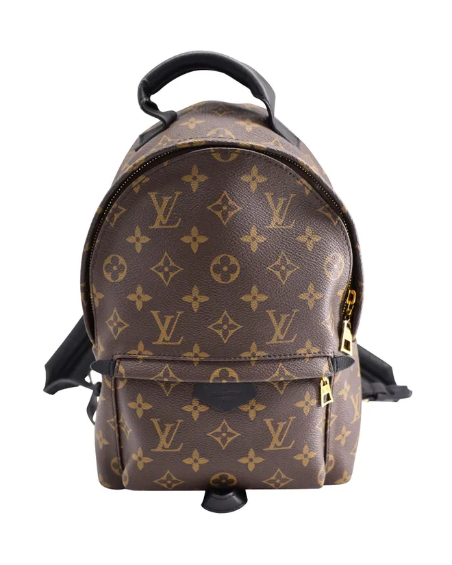 Monogram Palm Springs PM Backpack in Brown Coated Canvas