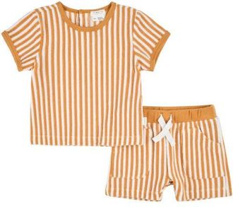 Petit Lem Stripe Terry T-Shirt & Shorts Set in Yellow Gold at Nordstrom, Size 24M