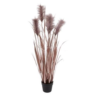 Schubiger M&ouml;bel Kunstpflanzen Pampasgrass Lilia H: 115 cm