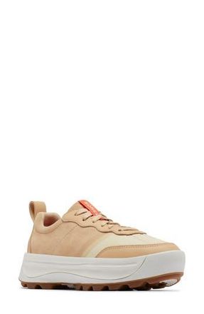 Sorel Ona 503 Low Top Platform Sneaker in Ceramic/Bleached Ceramic at Nordstrom Rack, Size 9.5