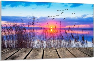 OEM Placa Protectora De Vidrio Para La Estufa 80x52 Ver