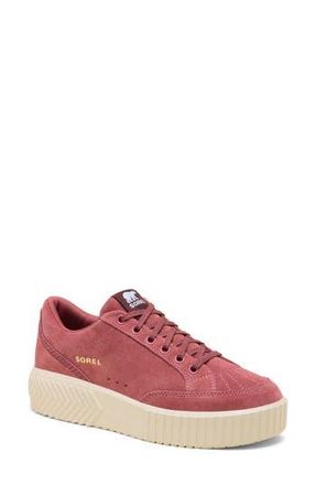 Sorel Ona Ave Low Sneaker in Rose Dust/Honey White at Nordstrom Rack, Size 8