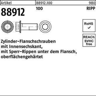 OEM Tornillo De Brida Cil&iacute;ndrica R 88912 Sperr-ripp Hexagonal Interior M10x 25 100 200 Piezas