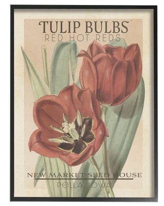 Stupell Industries Hot Red Tulip Bulbs Antique Floral Seed Packet By Studio W Wall Art