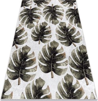 RugsX Rugsx - Alfombra Lavable Miro 52102.801 Hojas De Monstera Antideslizante - Verde Green 160x220 Cm