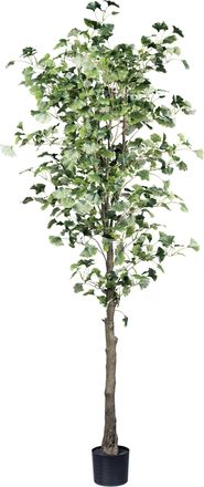 Creativ Green Kunstpflanze