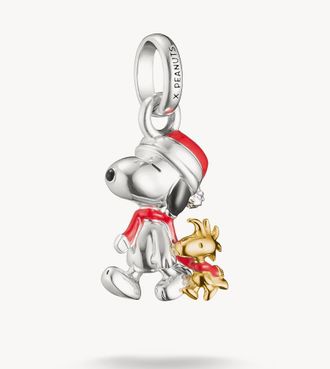 Thomas Sabo Charm pendente multicolore-Argento