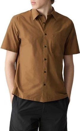 Theory Noll Soft Lawn Short Sleeve Button-Up Shirt in Deep Tobacco at Nordstrom Rack, Size Large