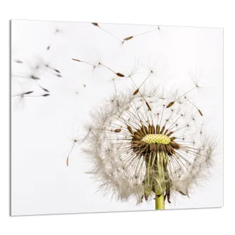 OEM Pannello In Vetro Per Cucina 65x60 Fiore