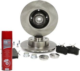 OEM Juego De Discos Y Pastillas De Freno Trasero 200801140