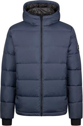 Trespass Sergei Dlx Down Jacket in Dark Flint at Nordstrom, Size Xx-Large