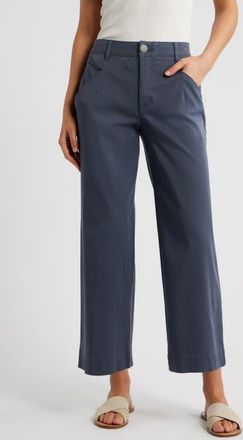 Wit & Wisdom Wyatt Skyrise Crop Wide Leg Twill Pants in Shadow at Nordstrom, Size 16P