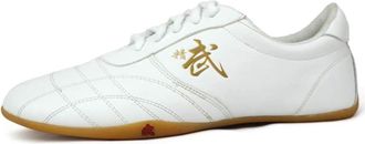 Generic Taekwondo Shoes, Martial Arts Sneakers, Sport Boxing Kung Fu Taichi Lightweight for Adults and Children(White,10.5 UK Child)
