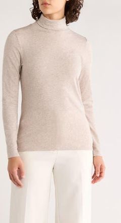 Eileen Fisher Long Sleeve Turtleneck Top in Dove at Nordstrom Rack, Size X-Large