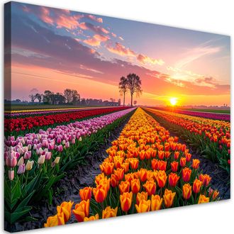 Feeby Cuadro Sobre Lienzo, Tulipanes Flores Pradera Vista, 120x80