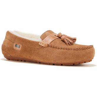 Australia Luxe Hamilton Genuine Shearling Lined Tassel Loafer in Chestnut at Nordstrom Rack, Size 12