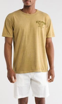 Goodie Two Sleeves Elmwood Gator Club Louisiana Graphic T-Shirt in Brown at Nordstrom Rack, Size Xx-Large