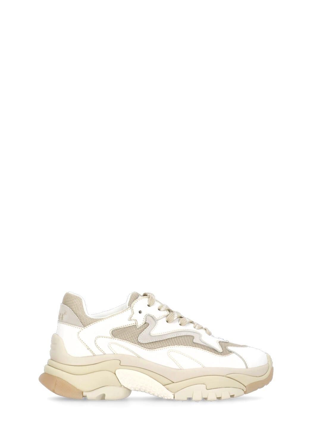 Women's Ash Addict − Sale: up to −32% | Stylight