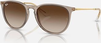 Ray-Ban Womens Erika Classic Sunglasses In Polished Transparent Light Brown