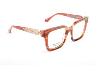 Ana Hickmann Optical Frame AH6598 E02 52