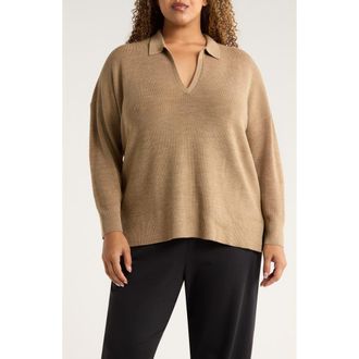 Eileen Fisher Classic Collar Merino Wool Sweater in Biscuit at Nordstrom, Size 1X