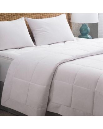 Allied Home 240 Thread Count Comfort Pure Allergy Proof Blanket