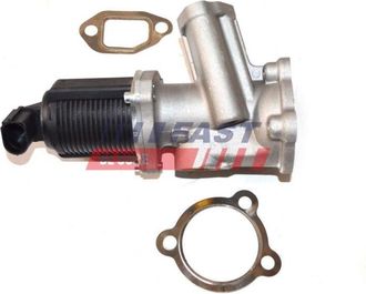 OEM V&aacute;lvula Egr Ft60236 R&aacute;pida