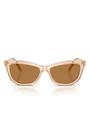 Swarovski 56mm Cat Eye Sunglasses in Transparent Beige /Bronze at Nordstrom