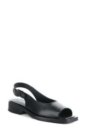 Bos. & Co. Elena Slingback Flat in Black Cordero Leathe at Nordstrom Rack, Size 10-10.5Us / 41Eu