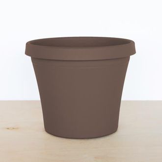 Bloem Terra Pot Planter, 13 Inch x 10.75 Inch, Chocolate Brown at Nordstrom