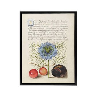 Artery8 Love in a Mist & Cherries Calligraphy Framed Canvas Wall Art Print in White | Size: W24 x H32