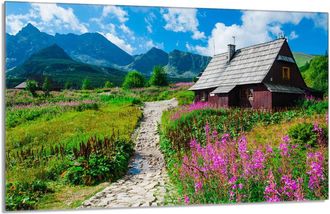 OEM Placa Protectora De Vidrio Para Estufa 80x52 Monta&ntilde;as