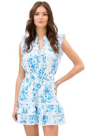 Allison Asher Short Dress In Blue And White Floral