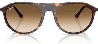 Ray-Ban 56mm Oval Sunglasses in Havana at Nordstrom Rack