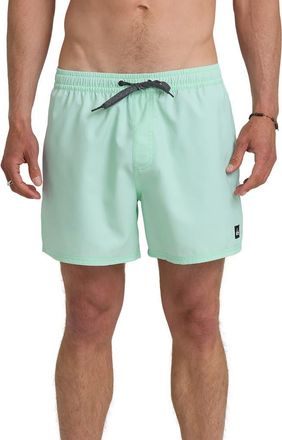 Quiksilver Everyday Volley 15-Inch Swim Trunks in Brook Green at Nordstrom, Size Xx-Large