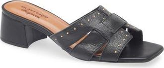 Bottero Catia Slide Sandal in Preto at Nordstrom, Size 11