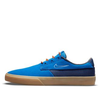 Nike Shane Premium SB Signal Blue DC8902-400