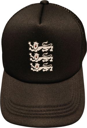Generic Baseball Cap Black England 3 Lion Test Cricket Sun Hat/Cap Cricket ODI/Test Adult/Men ONE Size Adjustable