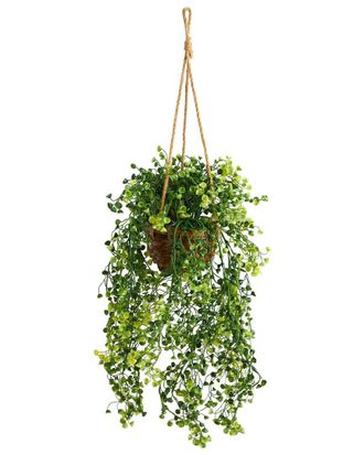 Nearly Natural 20In Baby Tear Artificial Plant In Hanging Basket