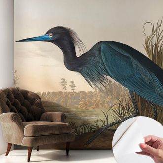 Tulup Carta Da Parati Autoadesiva - Fotomurale - Alta Qualit&agrave; - Per La Cucina - Camera Da Letto - Uccelli Acquatici 250x250 Cm