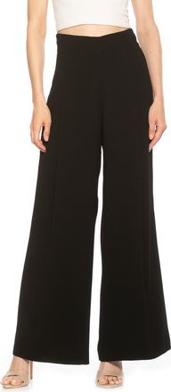 Alexia Admor Elia High Waist Pleat Wide Leg Pants in Black at Nordstrom Rack, Size 10