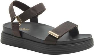 Alegria By Pg Lite Allyson Platform Sandal in 6340 Chocolate at Nordstrom, Size 10Us