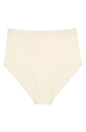 Uwila Warrior High Waist Silk Briefs in Winter White at Nordstrom, Size Xxx-Large