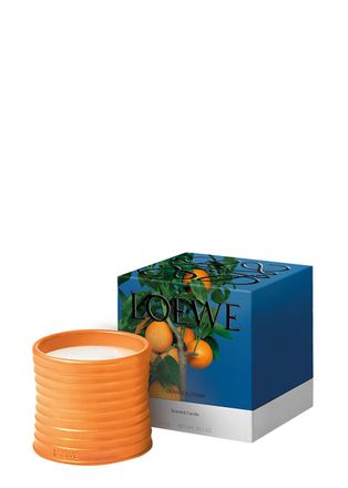 Loewe Orange Blossom Candle - Medium 610g, Candle, Low-intensity Fragrance, Honeyed, Earthy- Yet-clean Scent, Citrus, Sweet and Freshly Green Aspects