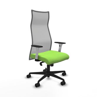 Piqueras y Crespo Silla De Oficina Albacete Piqueras Y Crespo B1b036n Pistacho