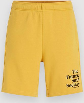 O'Neill Future Surf Society Shorts gr&uuml;n